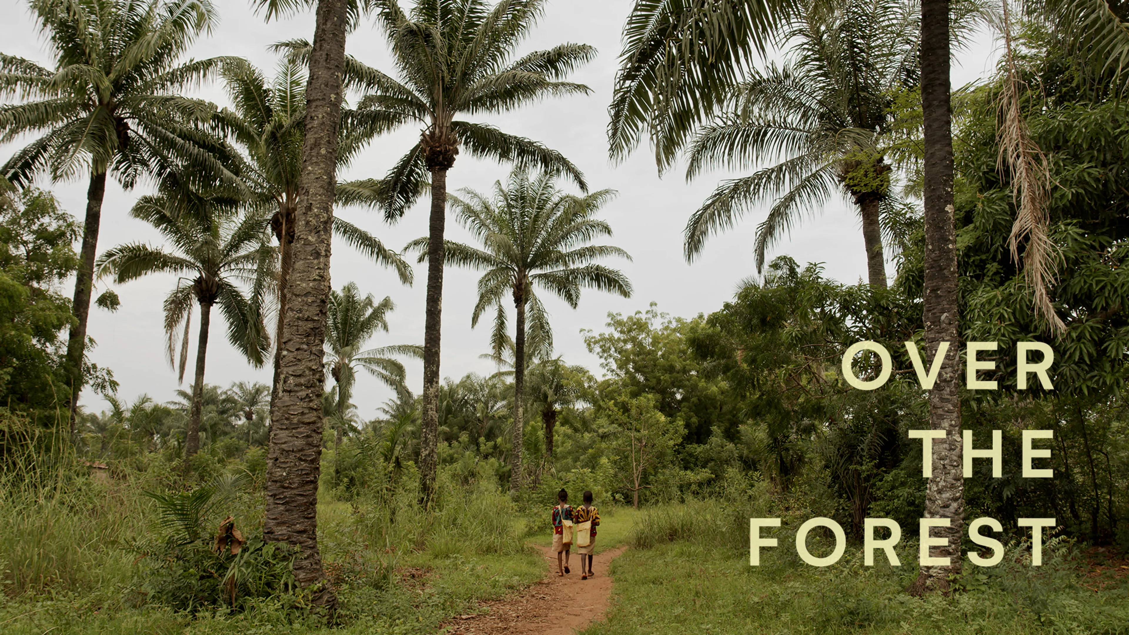 Over the Forest poster